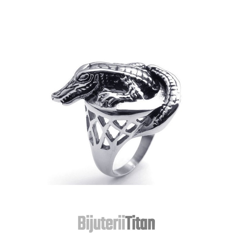 Tehnologie Sofisticată, Culori Delicate Pentru Un Inel De Titan Cu O Poveste Lungă