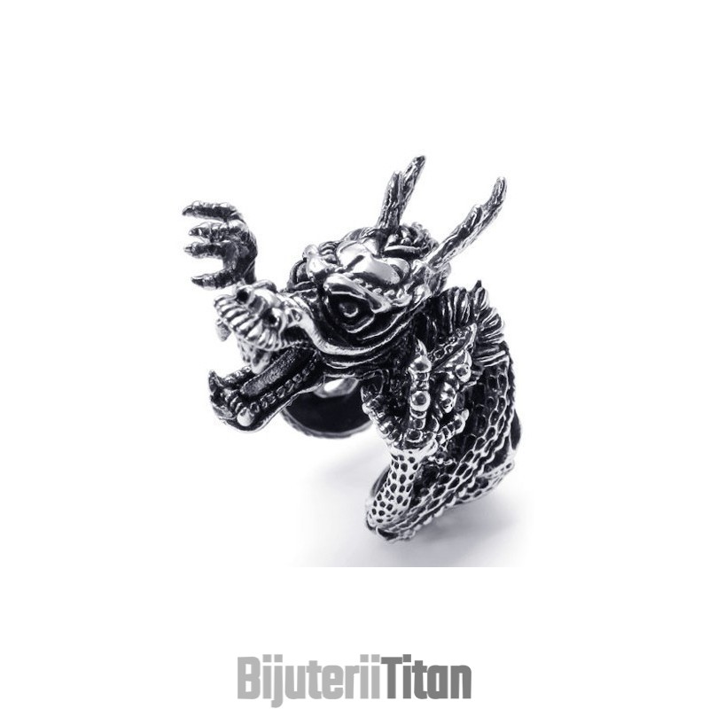 Tehnologie Sofisticată, Culori Delicate, Inel Din Titan Cu Reputație Fiabilă Tehnologie Sofisticată, Culori Delicate, Inel Din Titan Cu Reputație Fiabilă