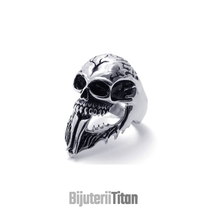 Pentru Strălucirea Culorilor Selectate, Un Inel De Titan Cu O Poveste Lungă