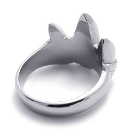 Pentru Selecția Dvs., Culori Delicate, Inel Din Titan Renumit La Nivel Mondial