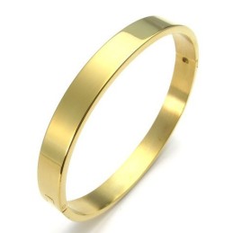 Tehnologie Sofisticată, Culori Frumoase, Brățară Din Titan De Calitate Superioară