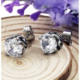 Cercei Unisex Din Titan Cu Specificații Complete