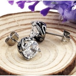 Cercei Unisex Din Titan Cu Specificații Complete