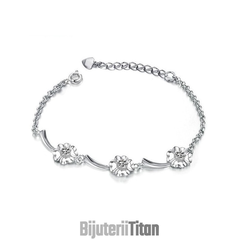 Brățară Din Titan Placată Cu Platină, Calitate Și Cantitate Garantate Brățară Din Titan Placată Cu Platină, Calitate Și Cantitate Garantate