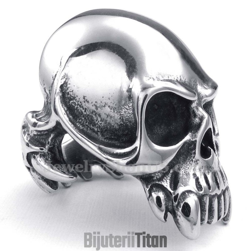 Inel De Craniu Din Titan Inel De Craniu Din Titan