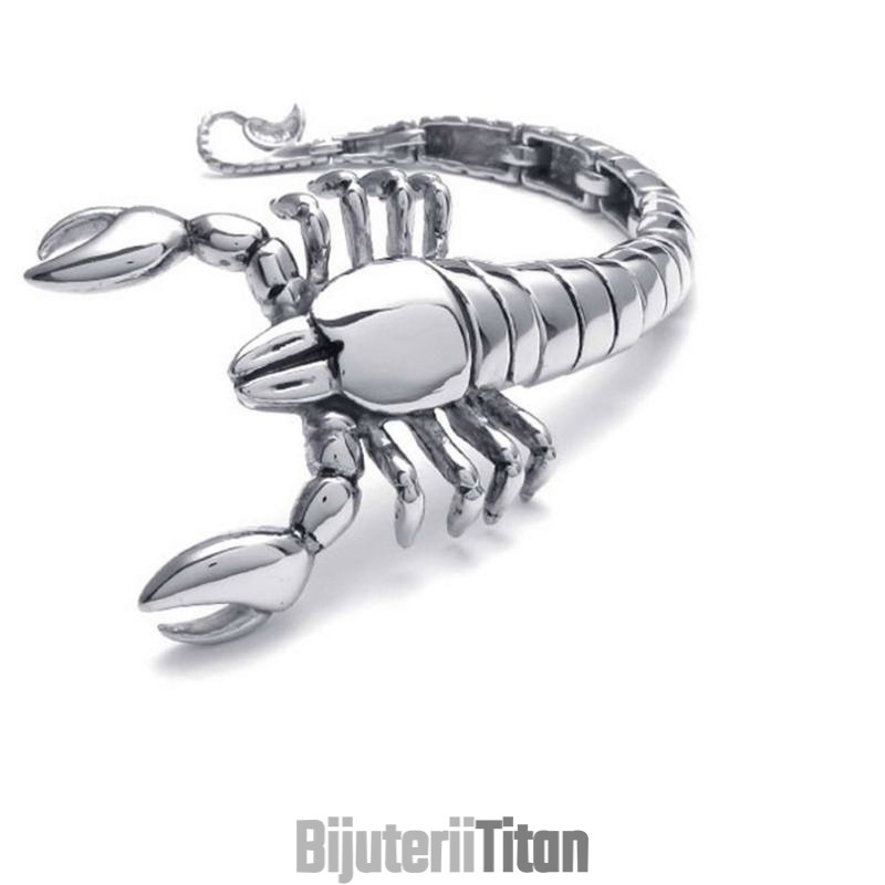 Brățară Din Titan Lustruit Cu Animale Scorpion Brățară Din Titan Lustruit Cu Animale Scorpion
