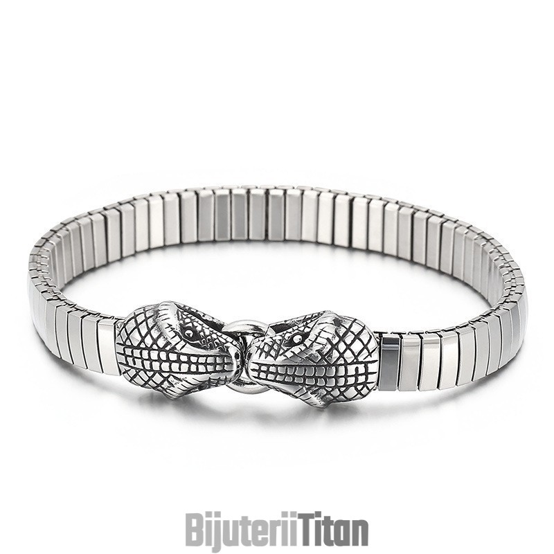 Brățară Din Titan Cu Cap Dublu De Șarpe, Stil Elegant, Cool, Pentru Bărbați