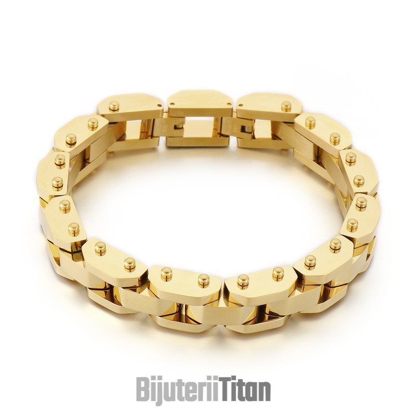 Brățară Din Titan Electrolizată, Stil Elegant, Cool, Pentru Bărbați