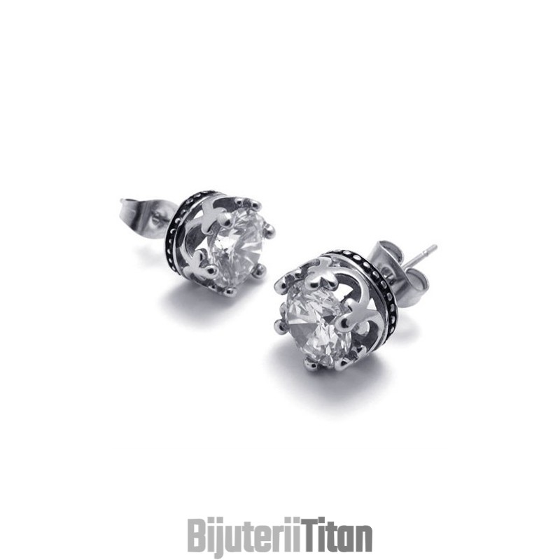 Cercei Din Titan Cu Diamant