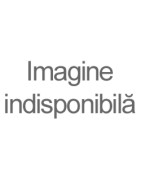 Brățări de gleznă din titan